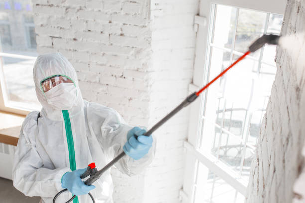 Best Mold Prevention Services  in Hackberry, TX